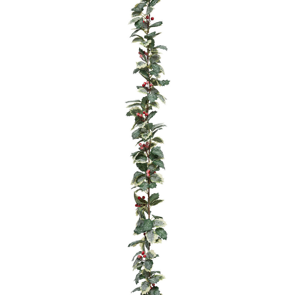 hedera terrarium Planten terrarium - Emma - DIY kit - ↑ 25 cm - Ø 23 cm