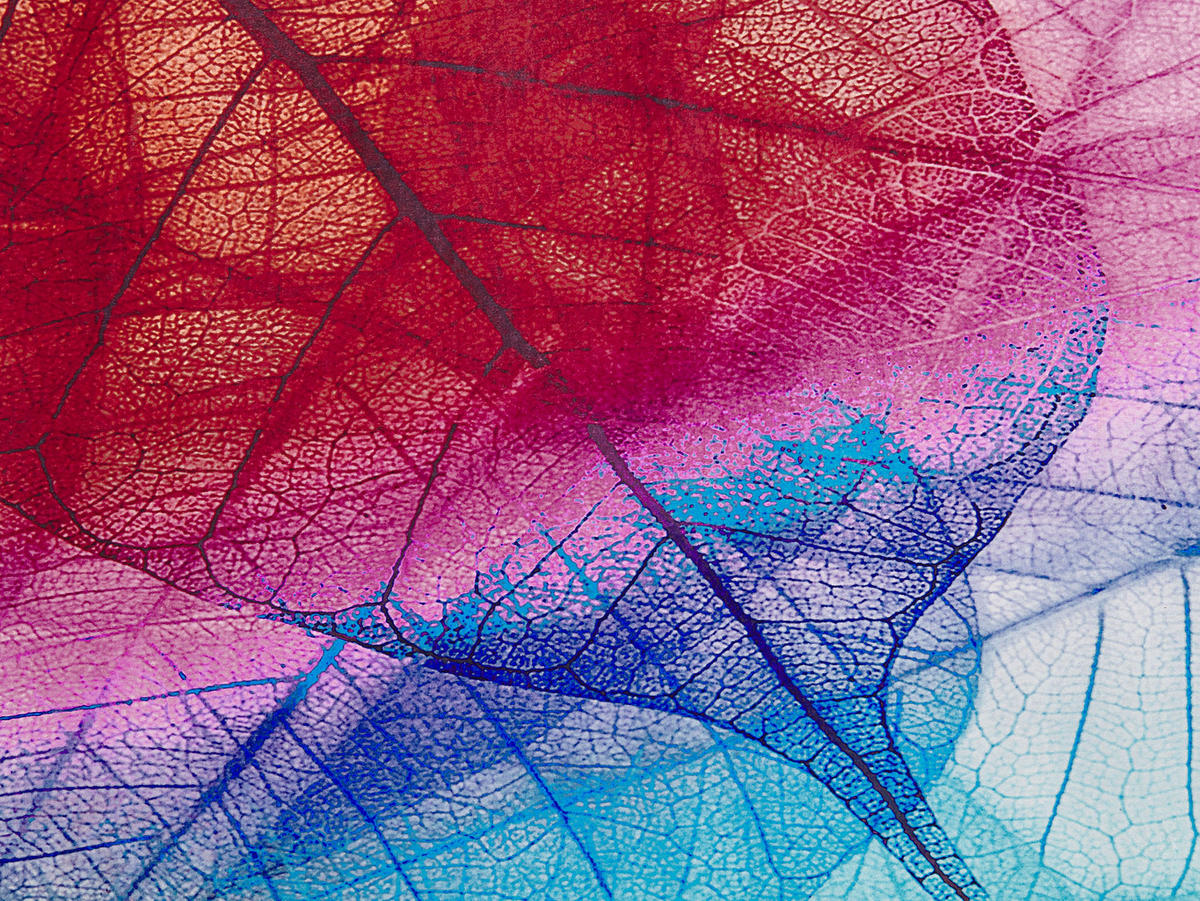 KURZFLOR-TEPPICH Antakya 230/160 cm - Multicolor, Kunststoff (160/230cm) - Beliani