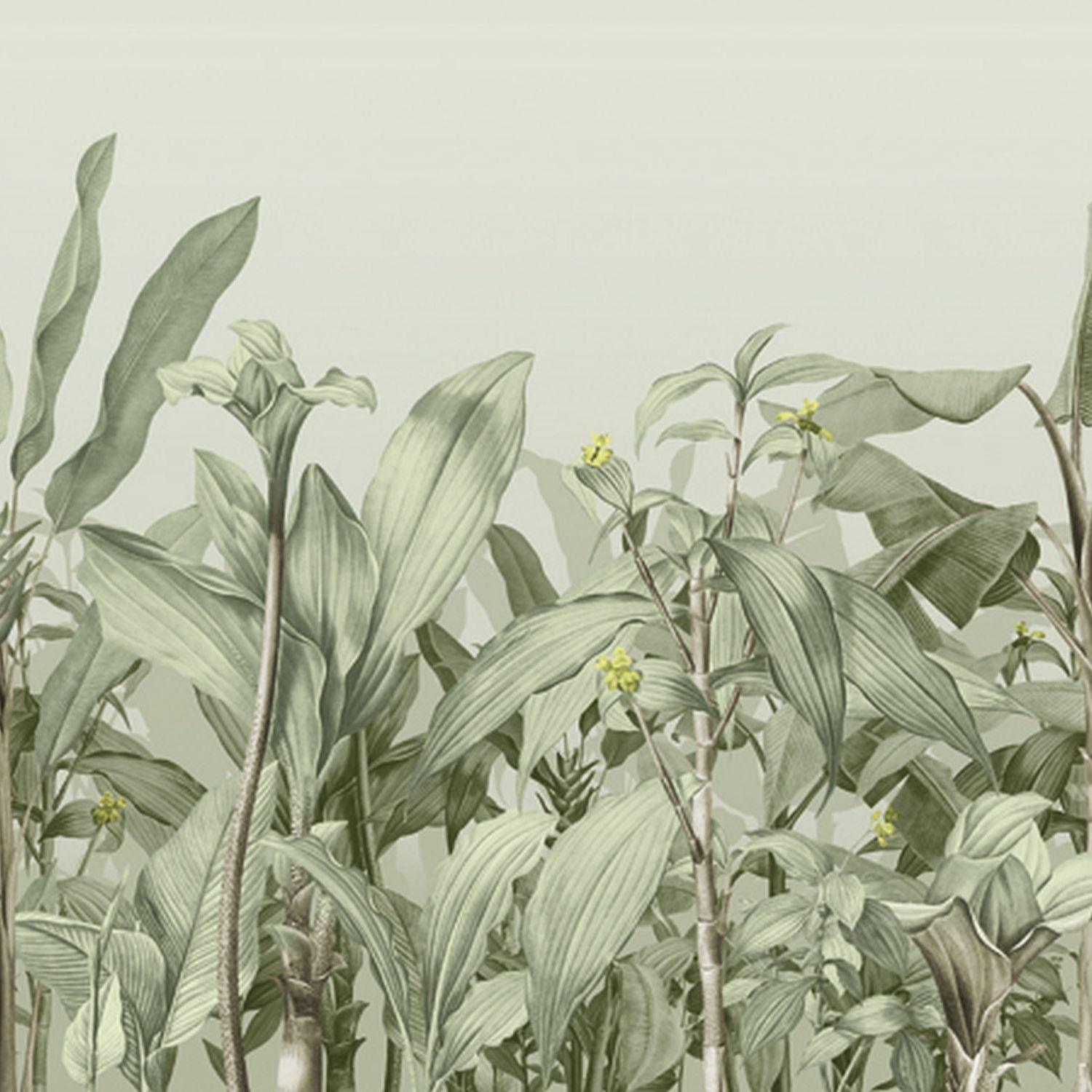 FOTOTAPETE Palmblätter 424 x 280 cm - Grün, Papier (424/280cm) - Sanders & Sanders