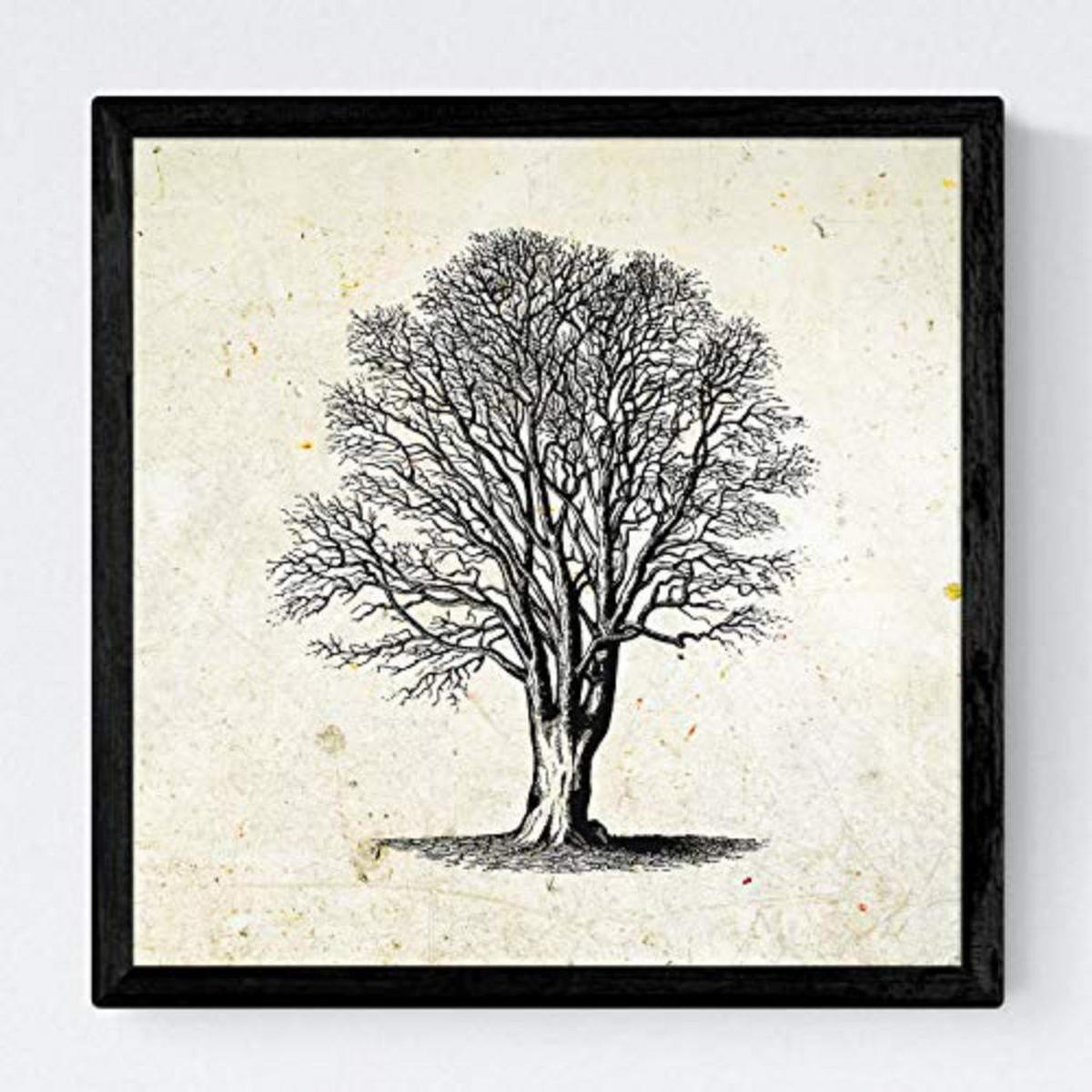 POSTER Set mit 4 Blättern der Bäume ohne und mit Blatt, 20x20cm Rahmenlos - Klar, Papier (20/3cm) - Nacnic