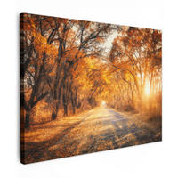 LEINWANDBILD Wald - Herbst - Bäume - Waldweg - Natur Wandbilder 80x60 cm - Bernsteinfarben, Textil (80/60cm) - MuchoWow