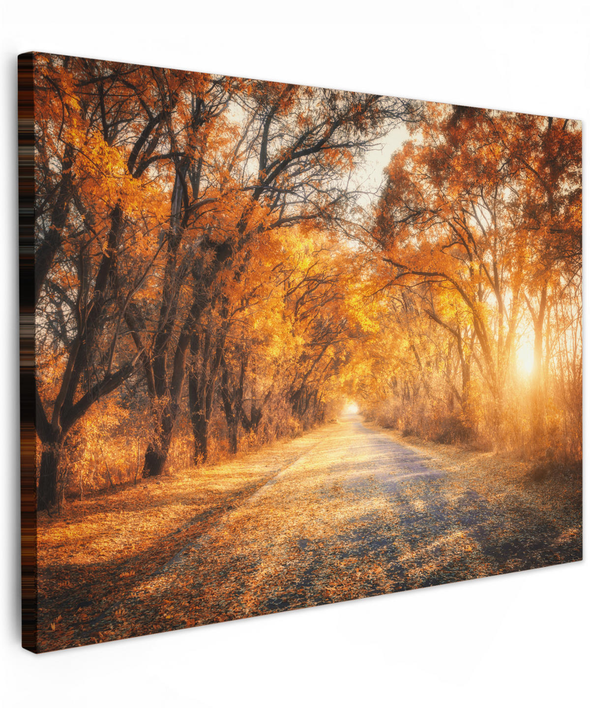 LEINWANDBILD Wald - Herbst - Bäume - Waldweg - Natur Wandbilder 80x60 cm - Bernsteinfarben, Textil (80/60cm) - MuchoWow