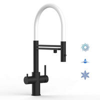 5-WEGE-KÜCHENARMATUR, Edelstahl Massiv aus Chirurgenstahl, PVD Schwarz Matt, 2-Strahl-Brause - Schwarz, Metall (33/52.5/33cm) - VIZIO