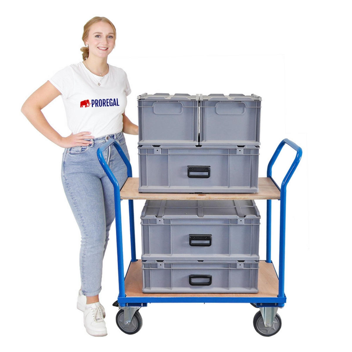 TISCHWAGEN mit 2 Etagen 102x100x50cm Traglast 400kg Lichtblau - Blau, Metall (50/100/102cm) - PROREGAL