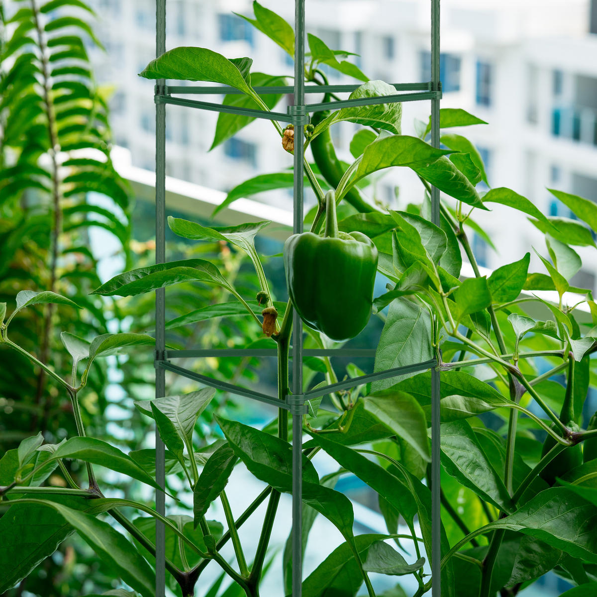 4XRANKHILFE - Dunkelgrün, Kunststoff/Metall (32/120/32cm) - Relaxdays