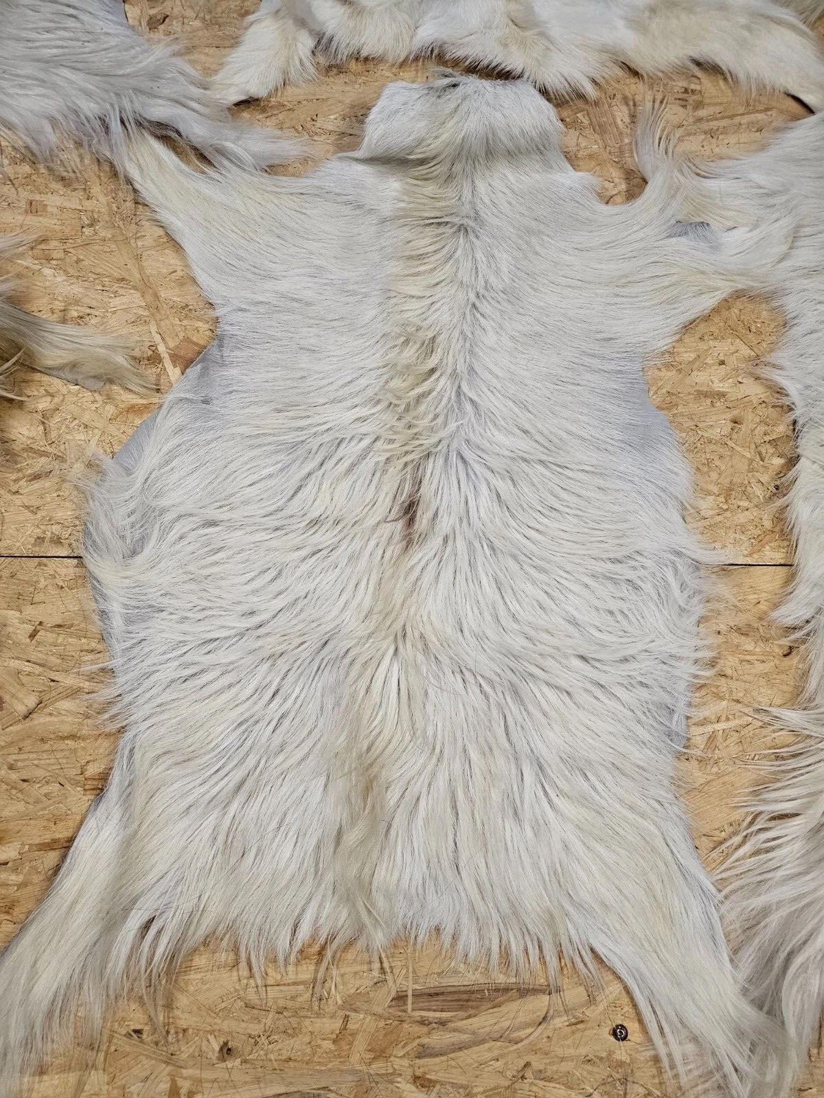 FELL Ziegenfell Eher Hell Naturfarben Teppich ca. 90 cm 1.Wahl - Hellgrau/Weiß, Fell (50/90cm) - Provellus