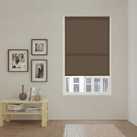 SEITENZUGROLLO lichtdurchlässig Ecofuture (100% Recyceltes Polyester) - Braun, Textil (55/190/190cm) - VIEWTEX