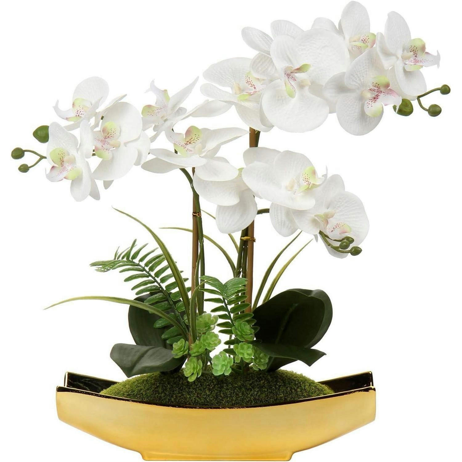 XXXLutz Kunstorchidee Mehrfarbig 38 cm