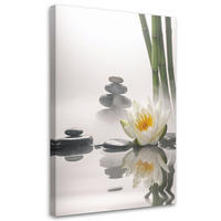 BILD auf Leinwand, Lotusblumensteine Pflanzen Zen Spa - Weiß, Textil (60/90cm) - Feeby