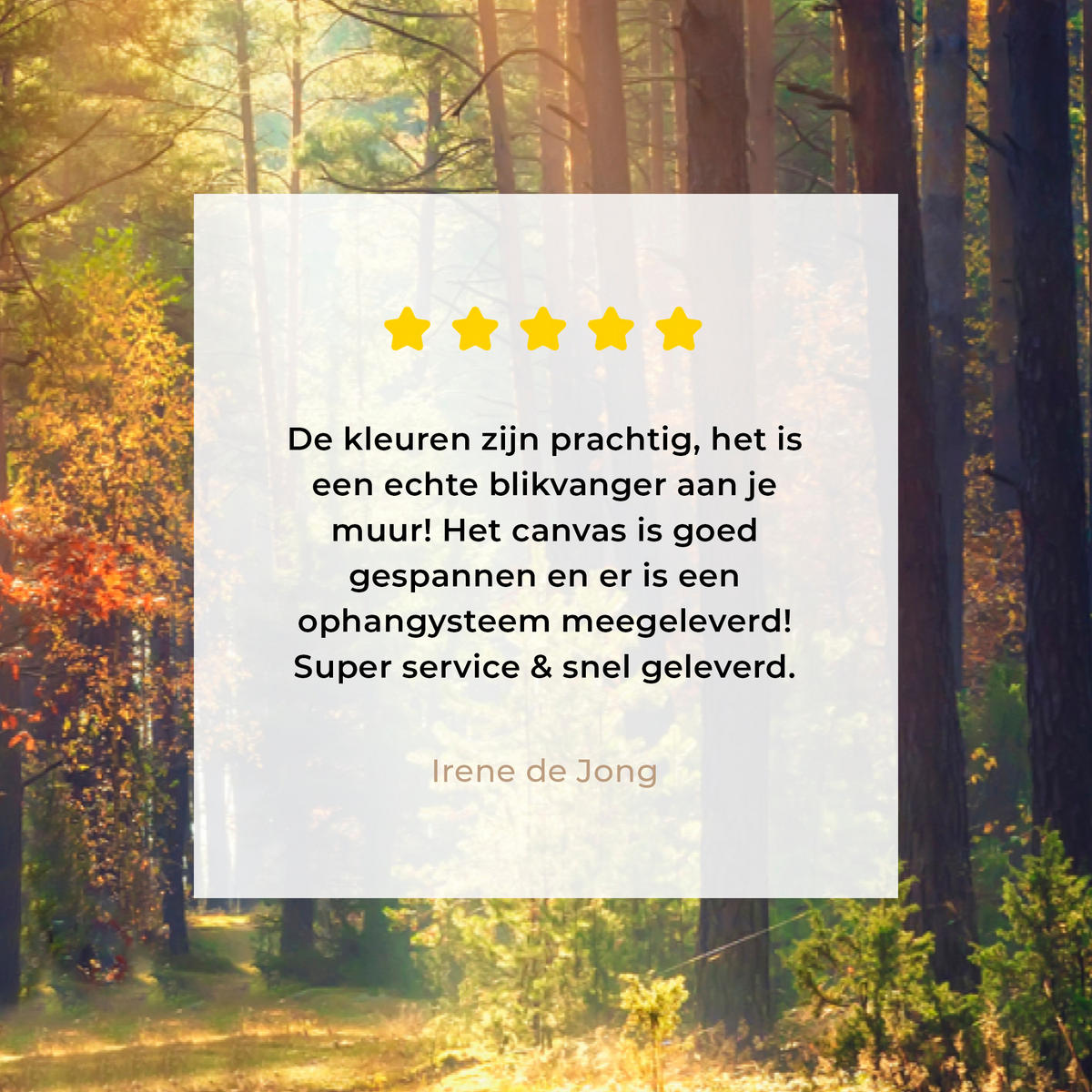 LEINWANDBILD Wald - Herbst - Bäume 30x20 cm - Dunkelgrün, Textil (30/20cm) - MuchoWow