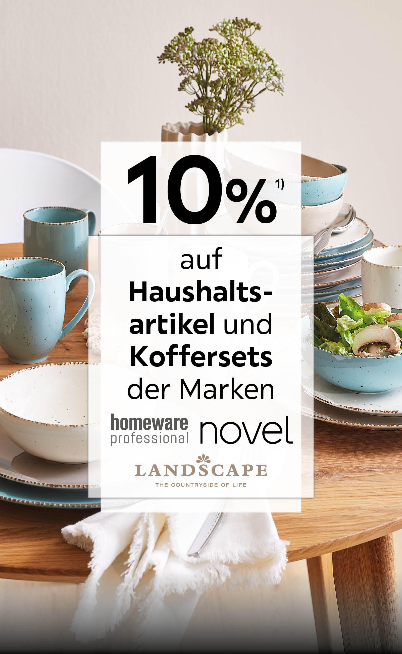 10% auf Haushaltsartikel und Koffersets der Marken Homeware Professional, Novel und Landscape