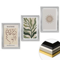 WANDBILDER 3er Set - 20x30 cm Silberner Rahmen - Abstrakte Pflanzenmuster - Silberfarben, Kunststoff (20/30cm) - ArtPrintCave