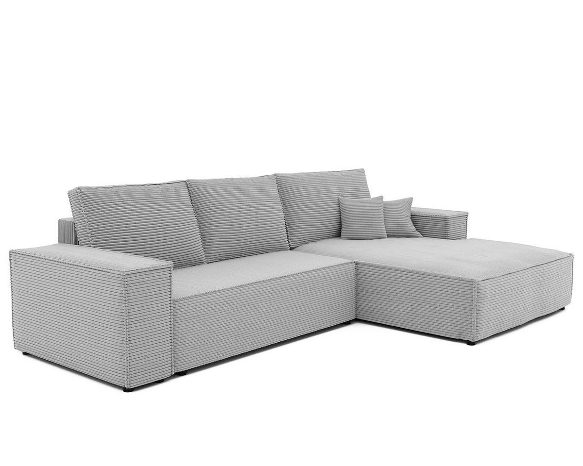 ECKSOFA NOVA mit Schlaffunktion und Bettkasten Hellgrau - Hellgrau, Holzwerkstoff/Kunststoff (250/90cm) - Idohome