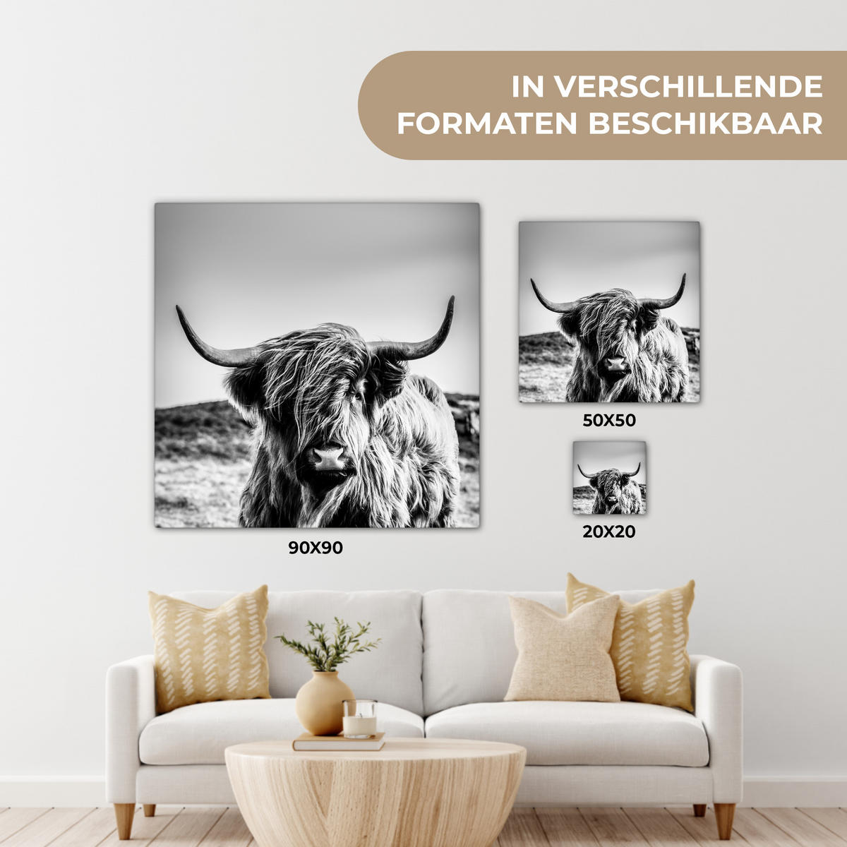 OBRAZ NA PLÁTNĚ Kráva - Skotský horal - Černá - Bílá - Zvíře - Příroda - Divoká zvěř 90x90 cm - černá, textil (90/90cm) - MuchoWow