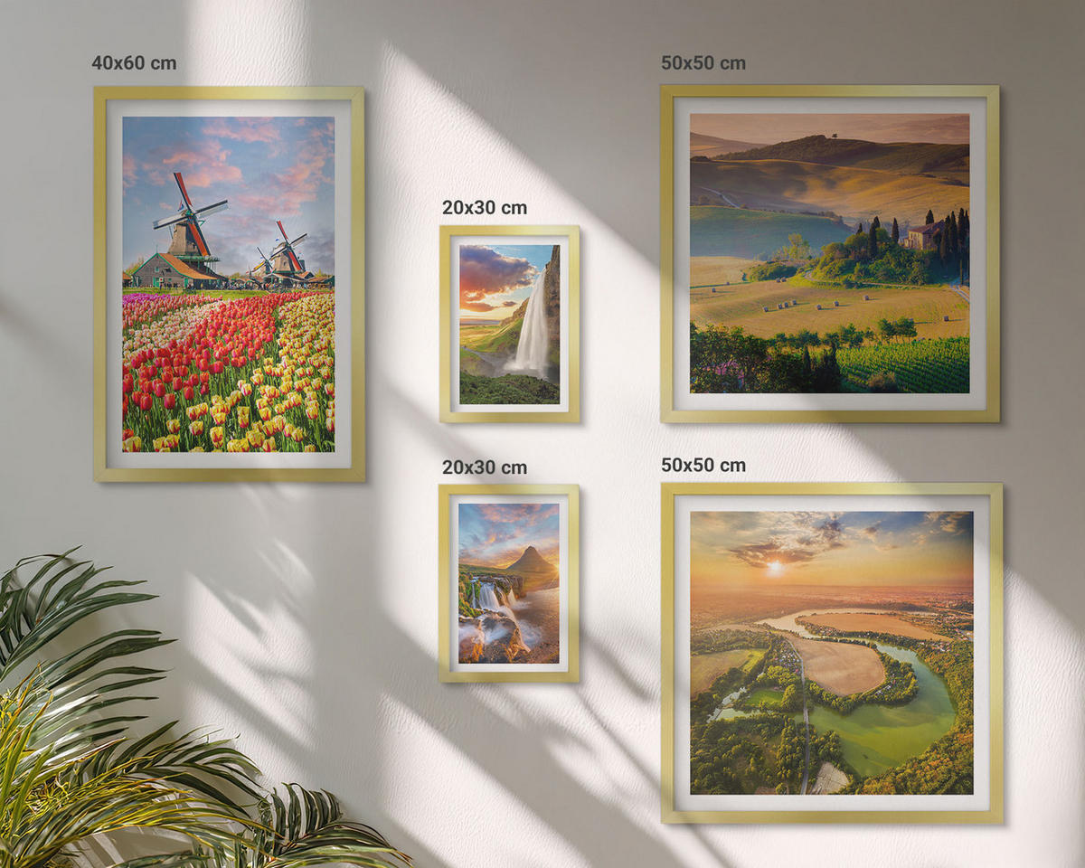 BILDER SET 5er Set - 50x50 cm & 20x30 cm & 40x60 cm Goldrahmen - Whisky, Wein, Champagner, Kaffee, Alkohol - Goldfarben, Kunststoff (40/60cm) - TULUP