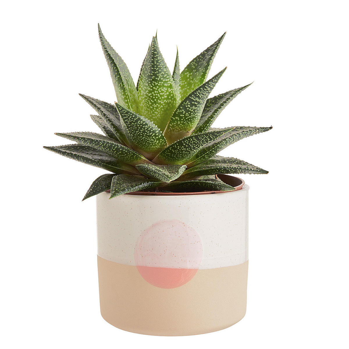 BLUMENTOPF (4er Set) Sunset - Multicolor, Keramik (10cm) - Butlers