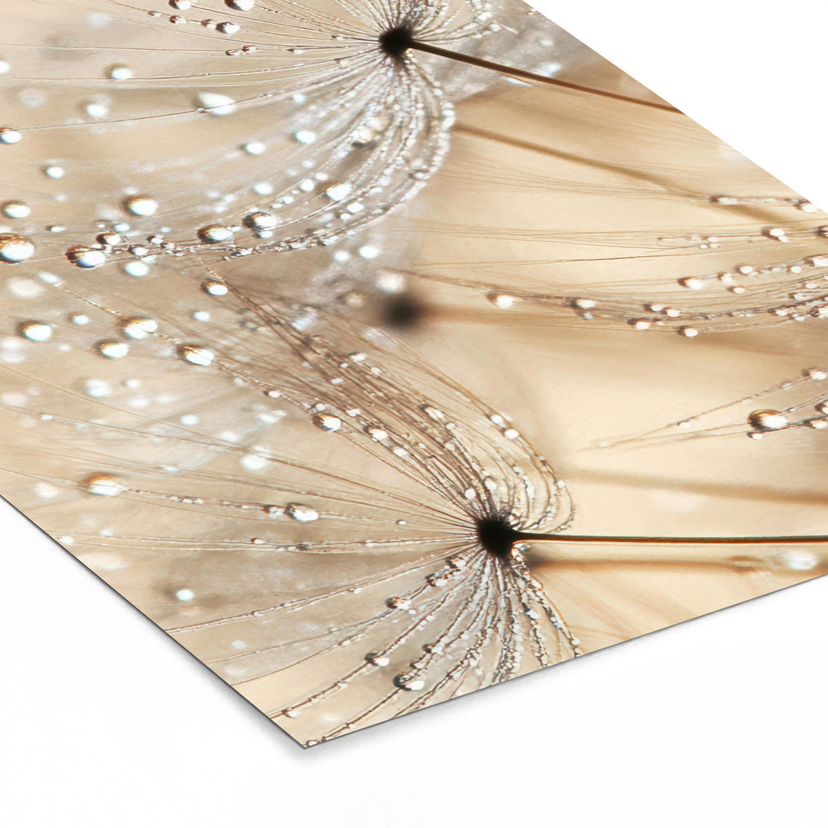 GERAHMTES BILD Löwenzahn - Abstrakt - Natur - Beige 60x80 cm - Braun, Papier (60/80cm) - MuchoWow