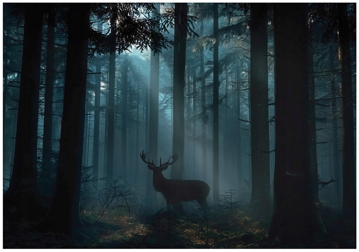 FOTOTAPETE Wald Reh Grün 350x250 cm - Multicolor, Papier (350/250cm) - Wallarena