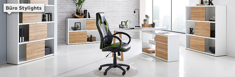 TH-36-19-4_Haupt_Büro-Stylights