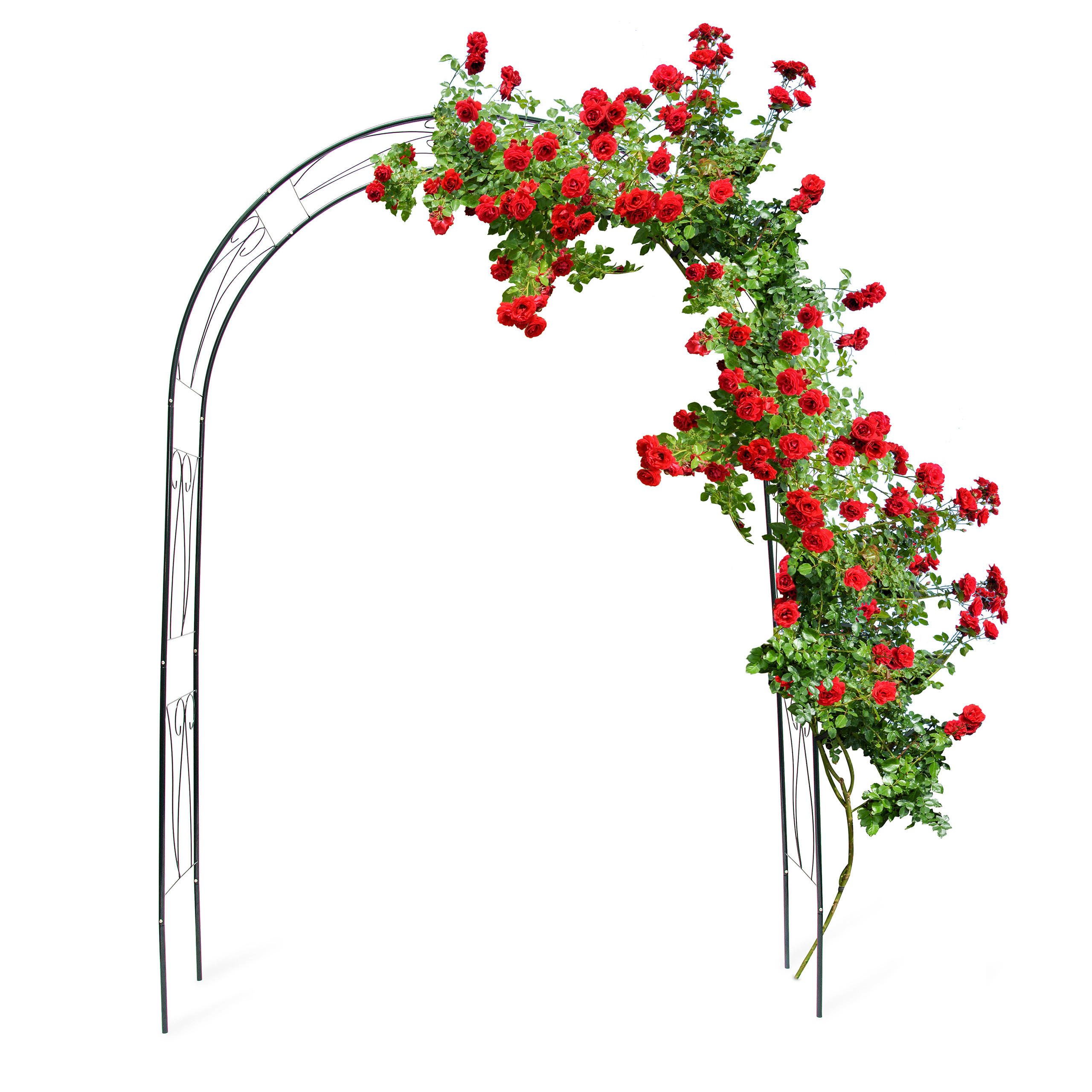 ARCADĂ Verde închis oțel vopsit electrostatic decorativă 233 cm