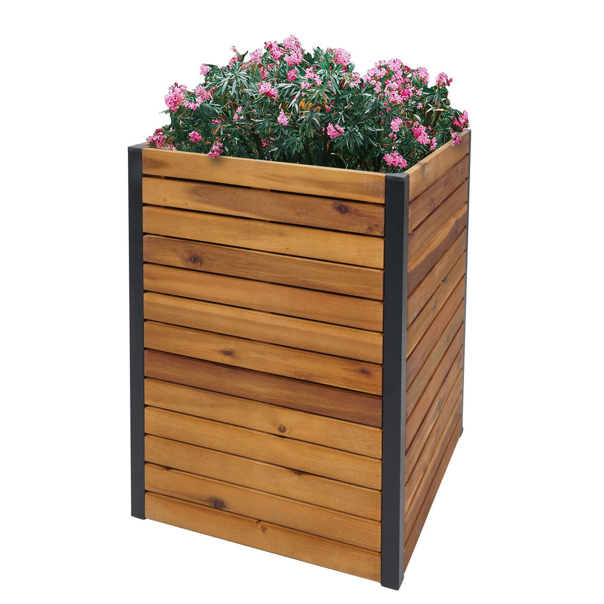 PFLANZKASTEN Braun - Braun, Holz (42/60/42cm) - MCW