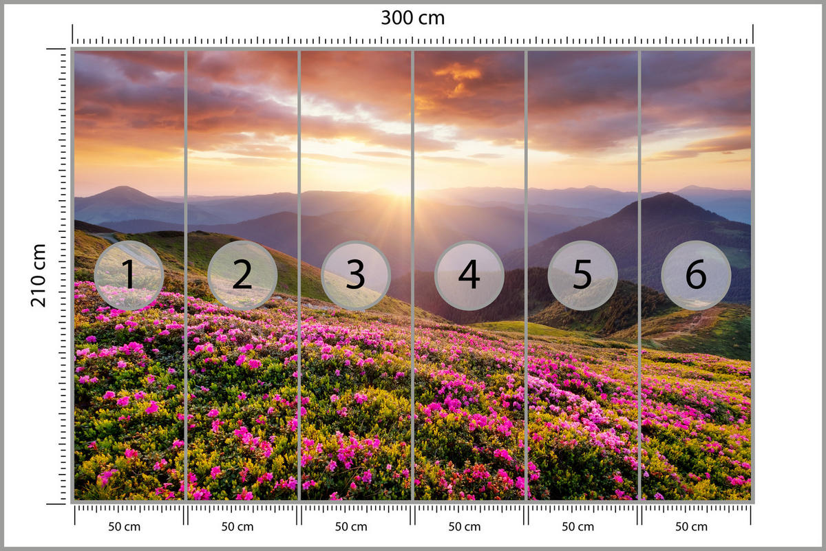 FOTOTAPETE für Wohnzimmer Sonnenuntergang Berge Wiese Blumen 300x210 - Violett/Rosa, Papier (300/210cm) - Muralo