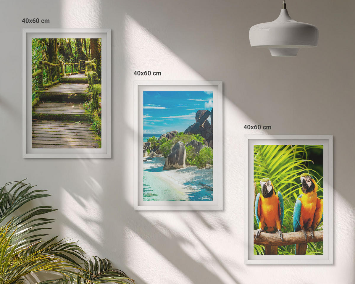 WANDBILDER 3er-Set - 40x60 cm Weißer Rahmen - Tropischer Wald Papageienwasserfall - Weiß, Kunststoff (40/60cm) - ArtPrintCave