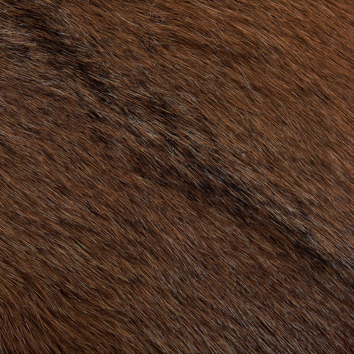 BARHOCKER Echtleder Goldbraun Walton - Hellbraun, Holz/Fell (40/80/40cm) - Beliani