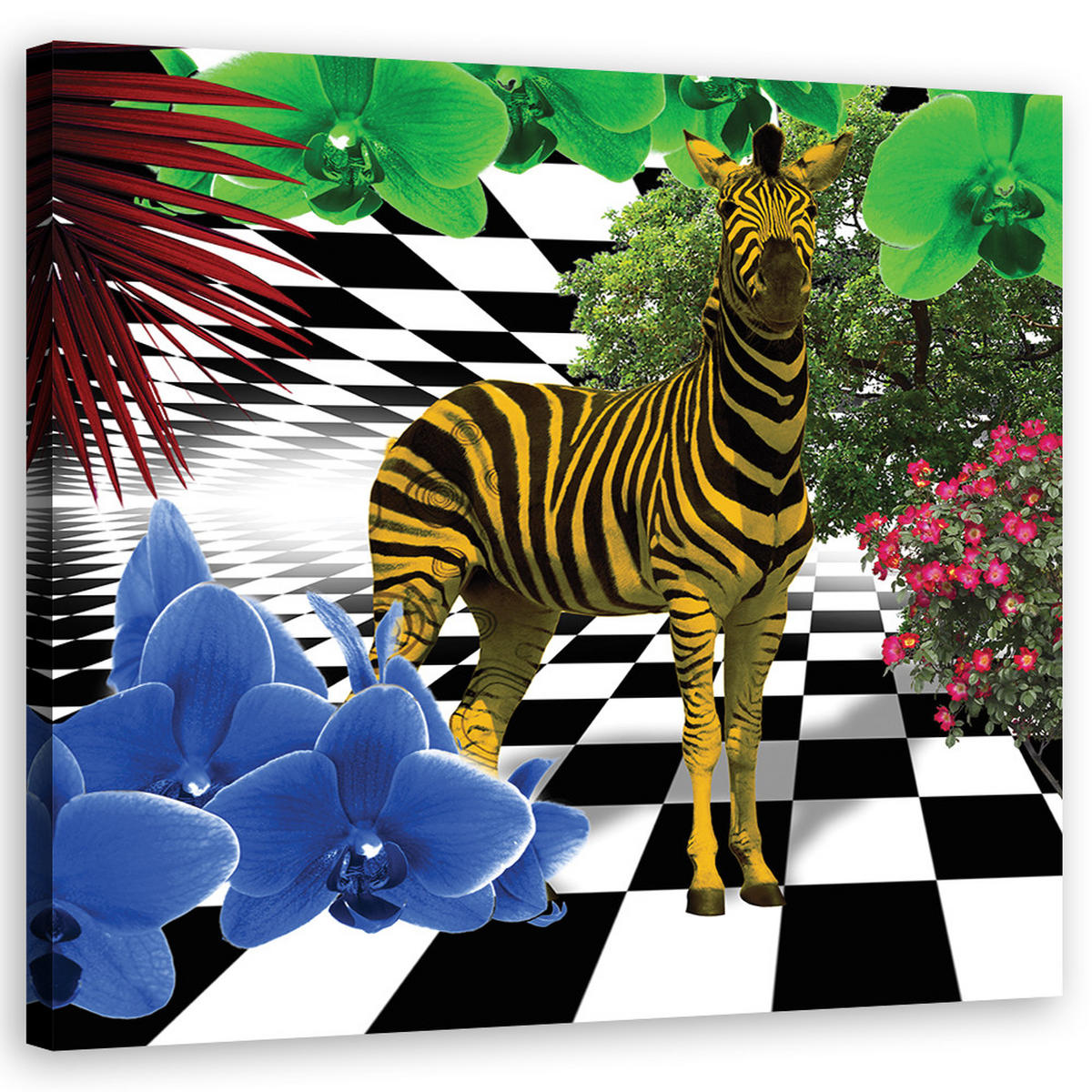 WANDBILD bunte zebra tiere - Multicolor, Textil (50/50cm) - Feeby