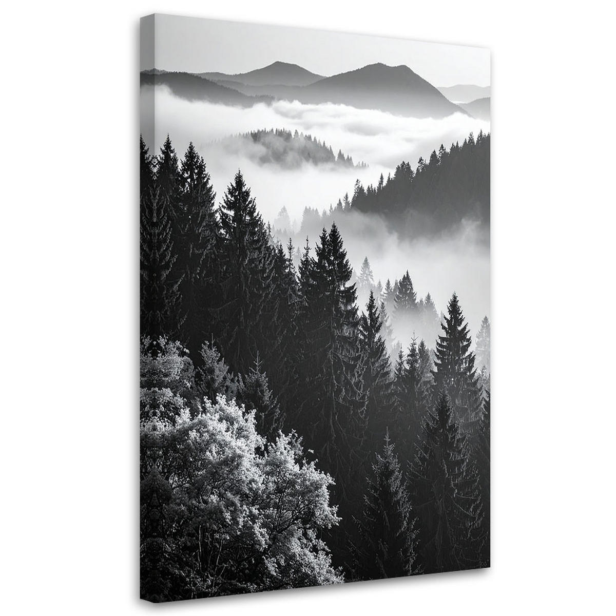 LEINWANDBILD Schwarz-weiße Berglandschaft 40x60cm - Schwarz, Textil (40/60cm) - Feeby
