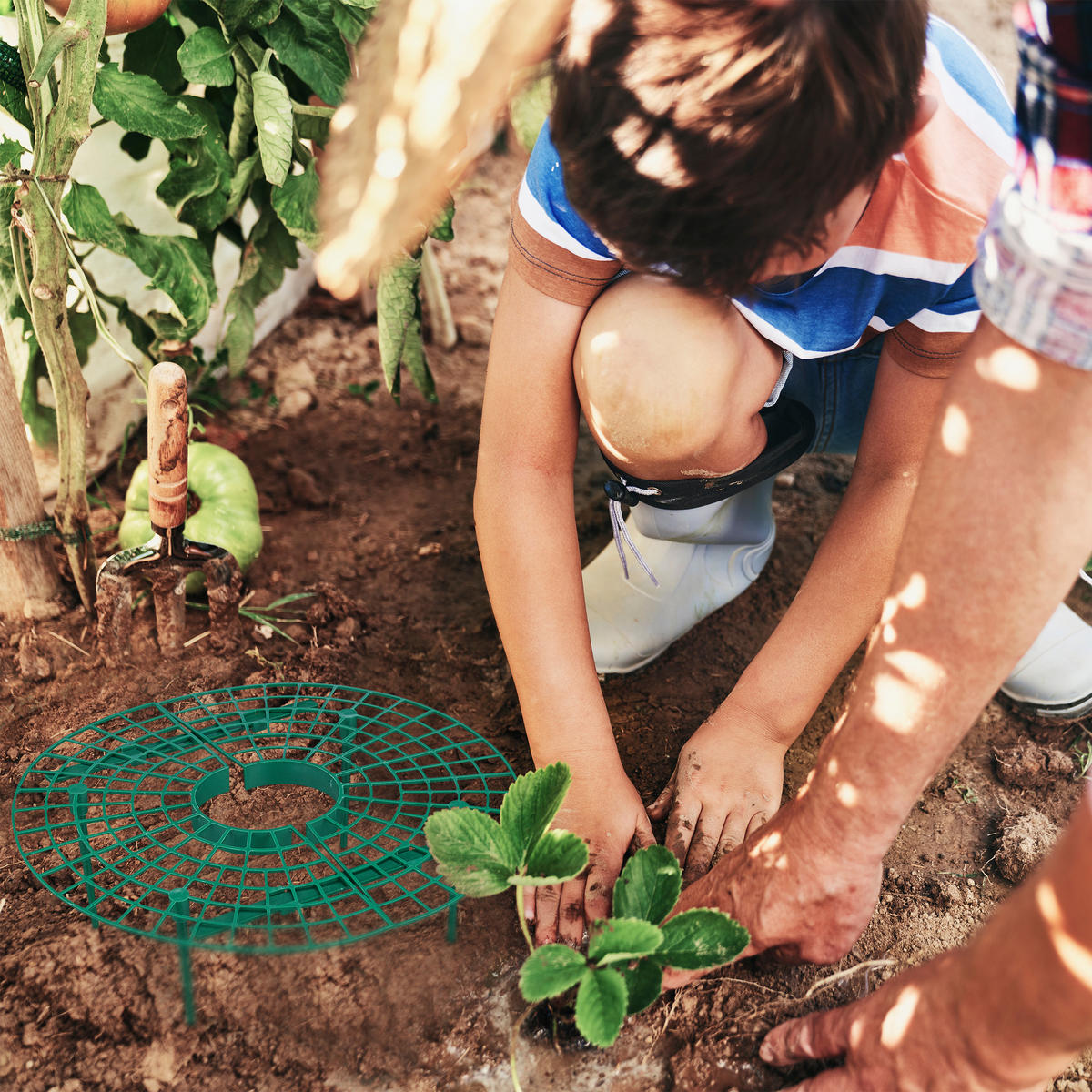 6XERDBEERREIFER - Grün, Kunststoff (30/10/30cm) - Relaxdays