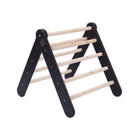 KLETTERDREIECK für Kinder, Montessori, Schwarz - Schwarz, Holz (59.5/59/60cm) - MeowBaby