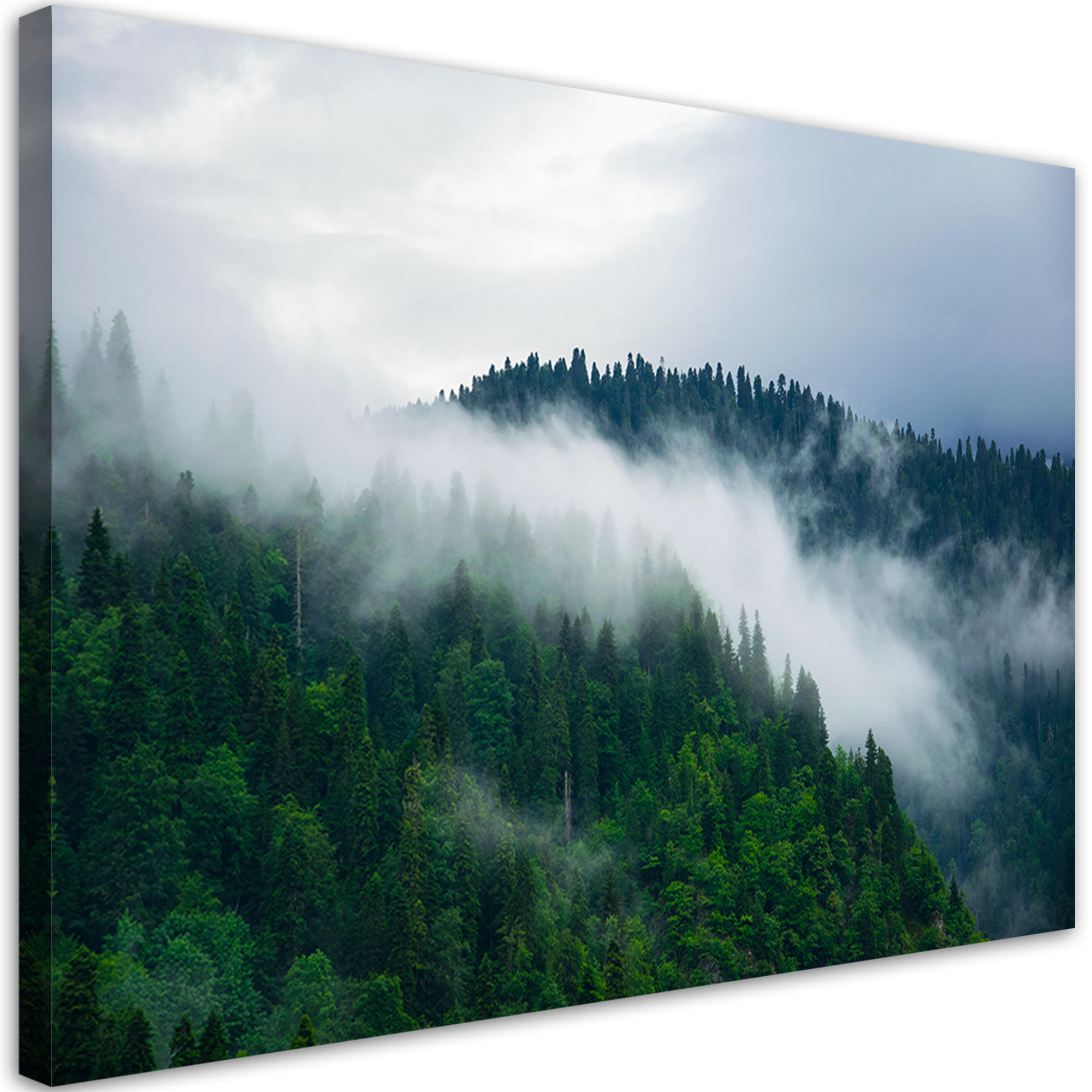 Feeby Wandbild Grün 60x40 cm