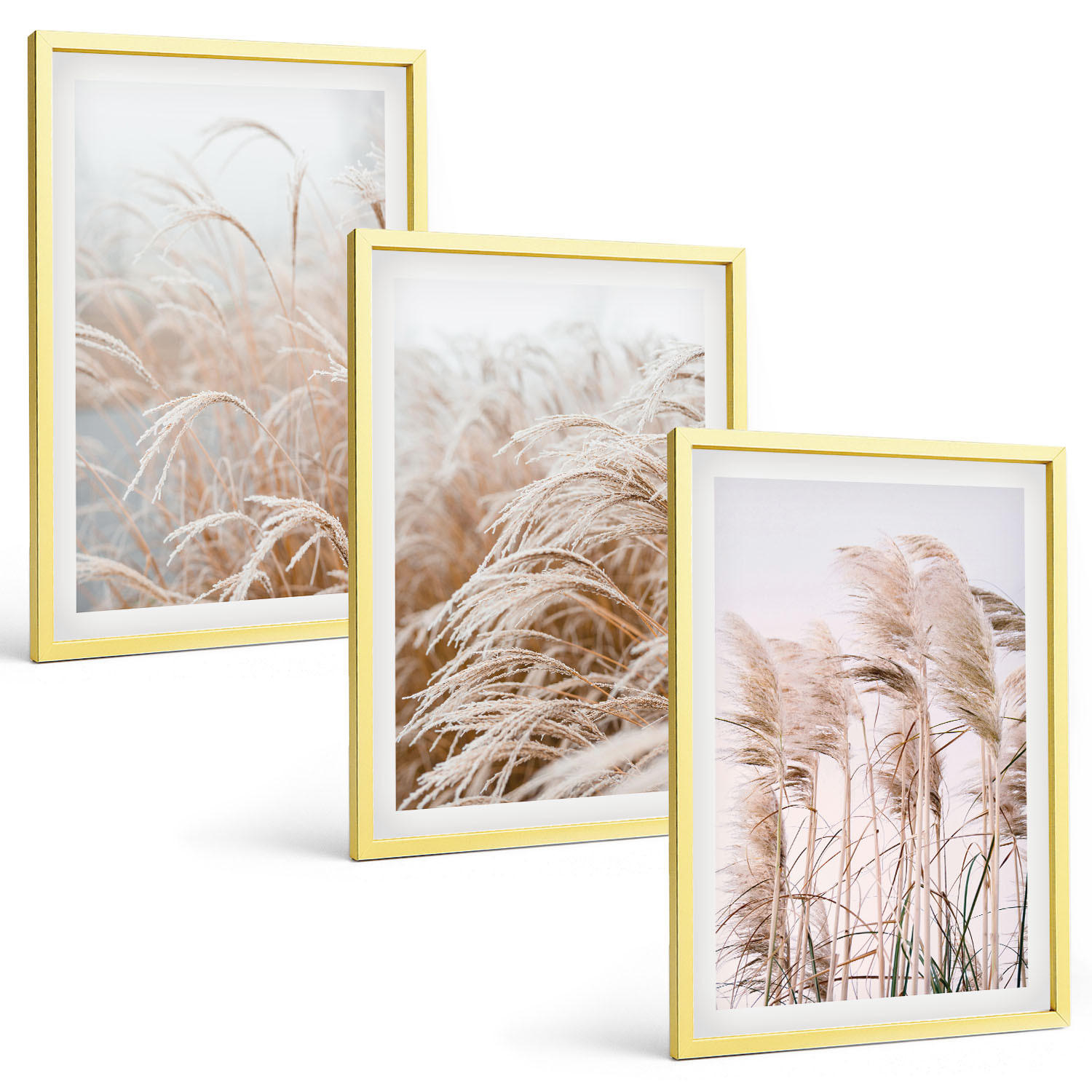 BILDER SET 3er Set - 40x60 cm Goldrahmen - Grasflächen in Braun- und Beigetönen - Goldfarben, Kunststoff (40/60cm) - TULUP