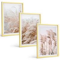 BILDER SET 3er Set - 40x60 cm Goldrahmen - Grasflächen in Braun- und Beigetönen - Goldfarben, Kunststoff (40/60cm) - TULUP