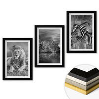 WANDBILDER 3er-Set - 20x30 cm Schwarzer Rahmen - Wildtiere der Savanne - Schwarz, Kunststoff (20/30cm) - ArtPrintCave