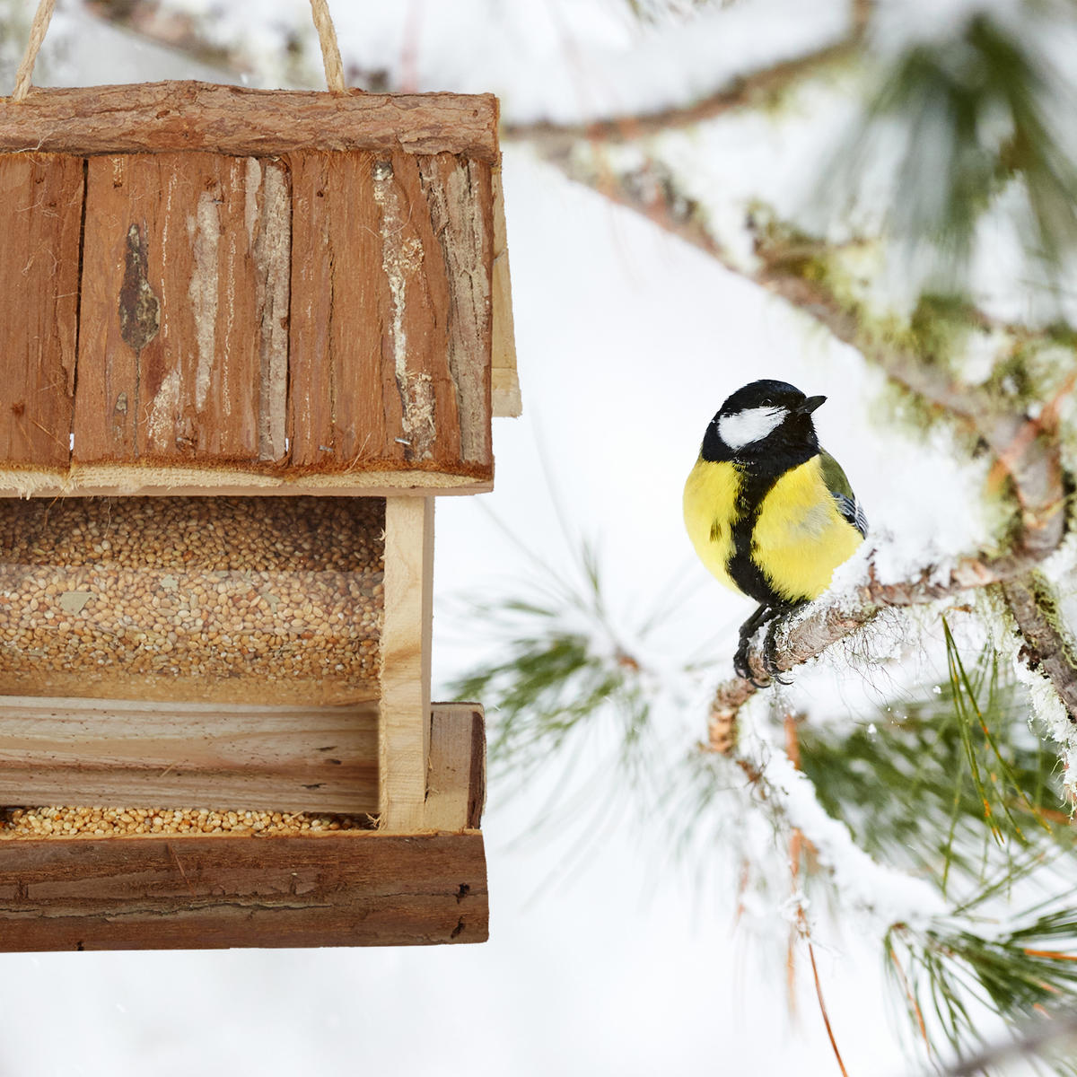 VOGELFUTTERHAUS - Hellbraun, Holz/Kunststoff (15.5/20/13cm) - Relaxdays