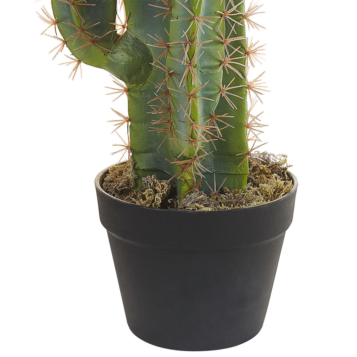 KUNSTPFLANZE Grün Cactus - Schwarz/Grün, Kunststoff (78cm) - Beliani