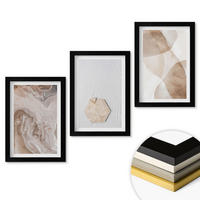 WANDBILDER 3er-Set - 20x30 cm Schwarzer Rahmen - Designerabstraktion der Natur - Schwarz, Kunststoff (20/30cm) - ArtPrintCave