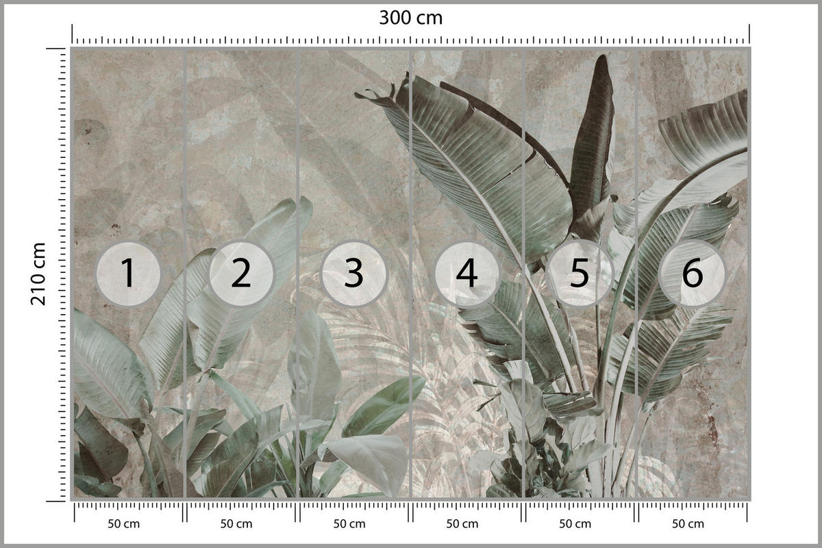 FOTOTAPETE für Büro Beton Bananenblätter Abstrakt Pflanzen Vintage 300x210 - Beige/Braun, Papier (300/210cm) - Muralo
