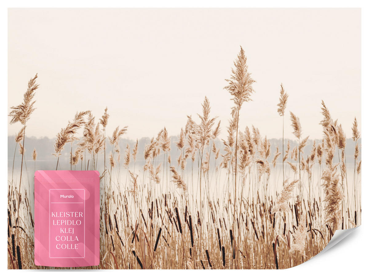 FOTOTAPETE für Wohnzimmer Pflanzen Natur 150x105 - Beige/Braun, Papier (150/105cm) - Muralo