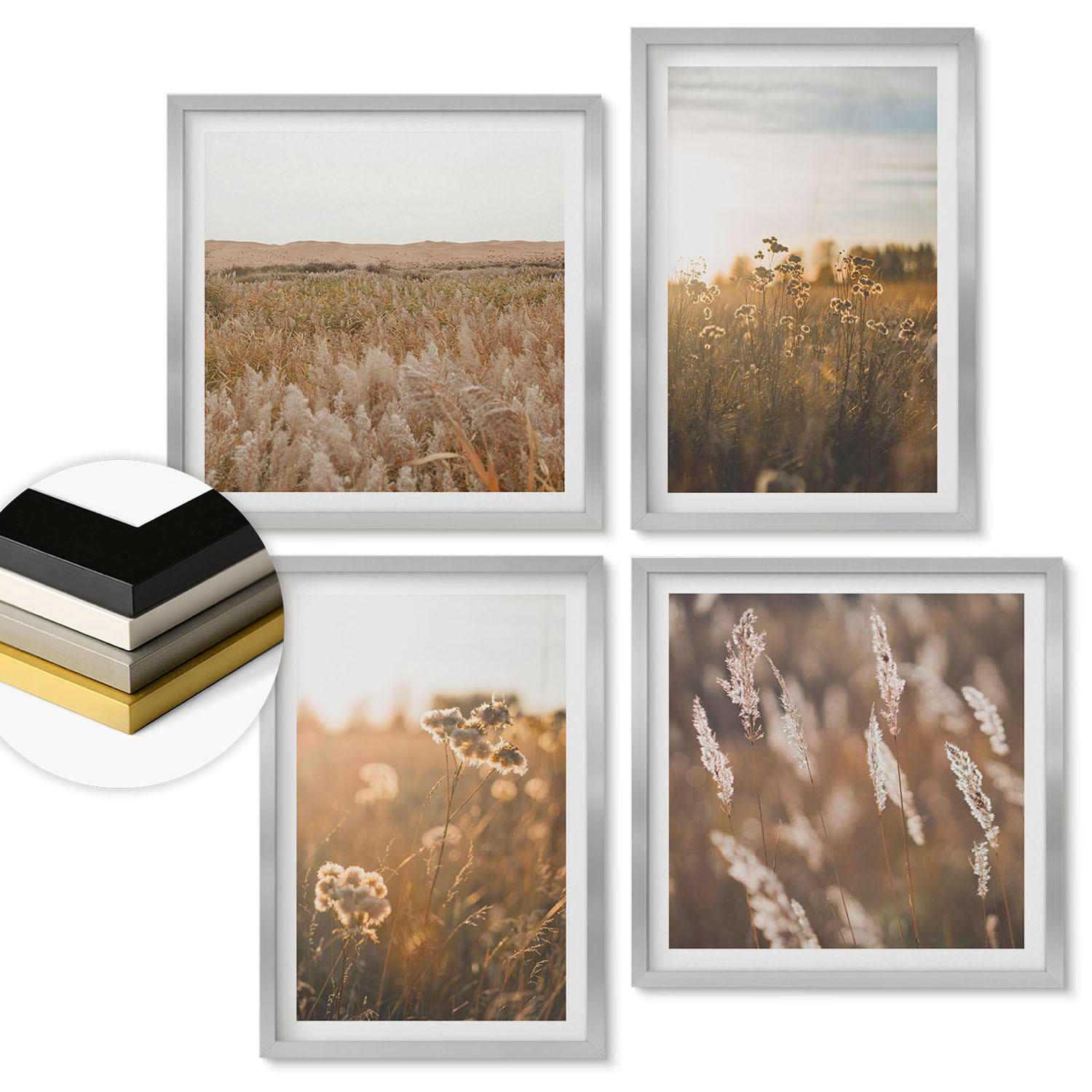 WANDBILDER 4er Set - 50x50 cm & 40x60 cm Silberner Rahmen - Sommerwiesenblumen Sonnenuntergang - Silberfarben, Kunststoff (50/50cm) - ArtPrintCave