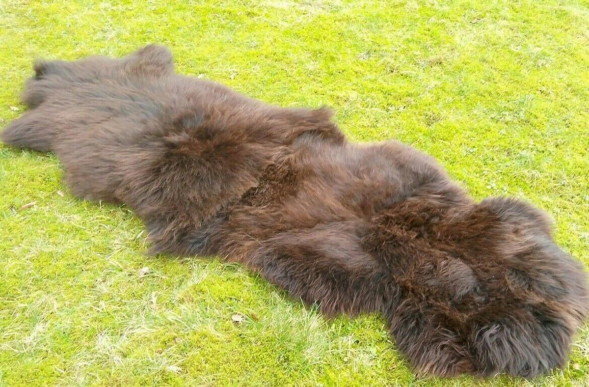 TEPPICH Öko Schaffell Zwei Felle Naturbraun 180/65 cm - Braun, Fell (65/180cm) - Provellus