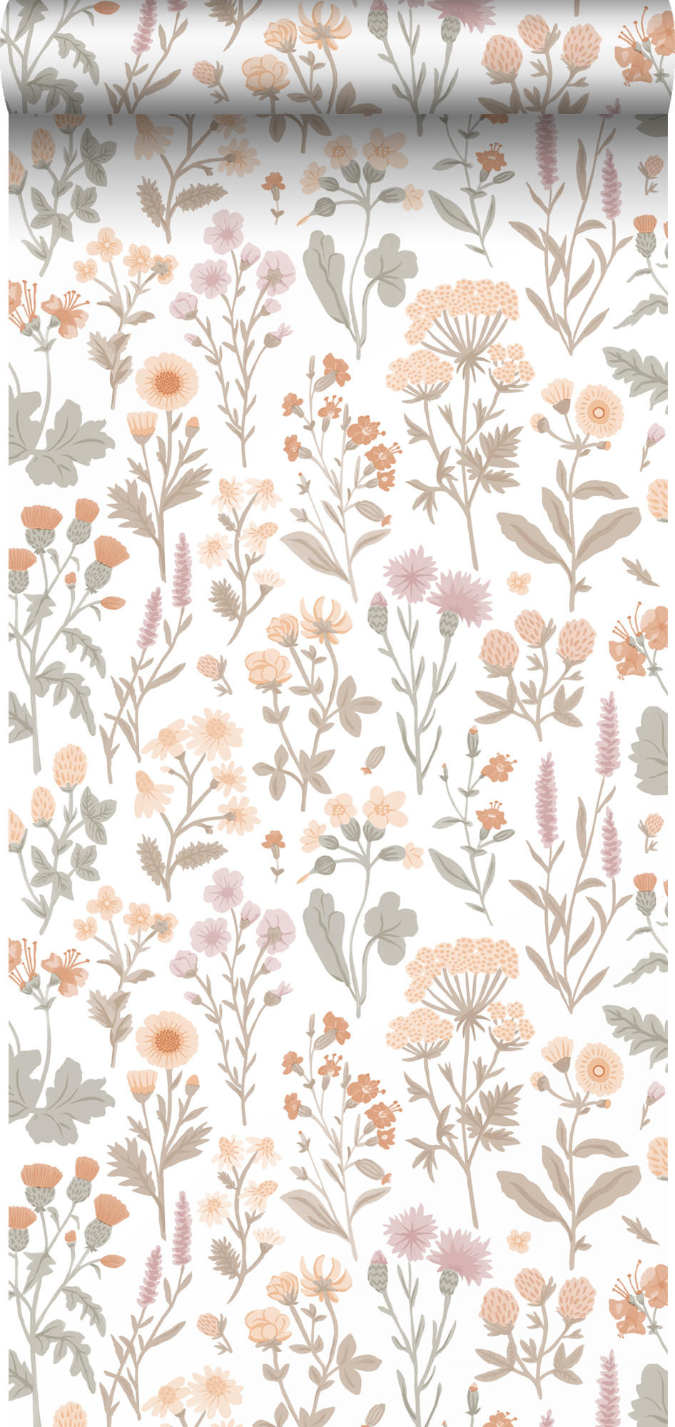 TAPETE Feldblumen 50 x 900 cm - Weiß, Papier (50/900cm) - Sanders & Sanders