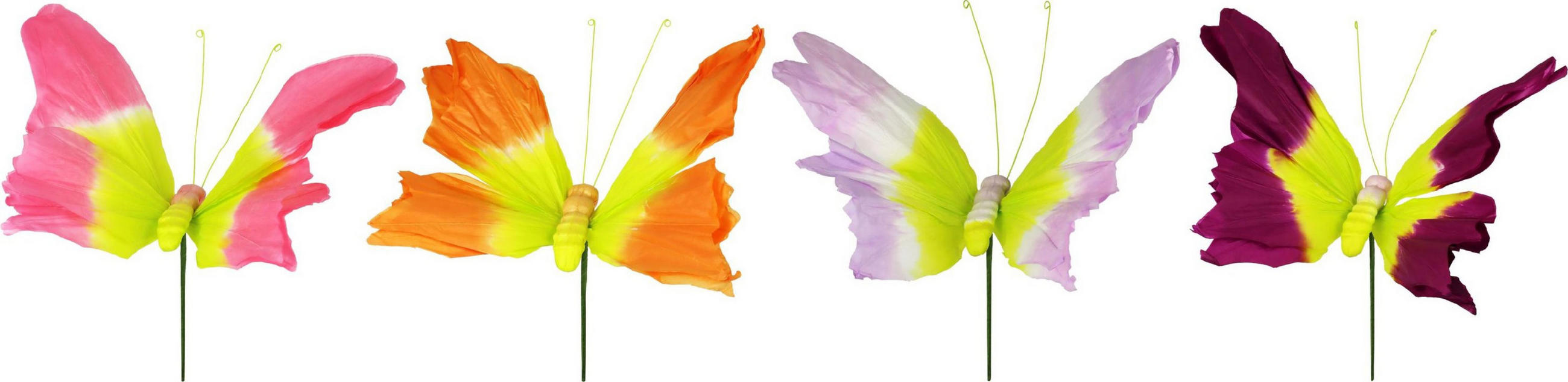 DEKOSCHMETTERLINGE Pappilon 70 cm - Multicolor, Papier (40/70/50cm) - FURNARO
