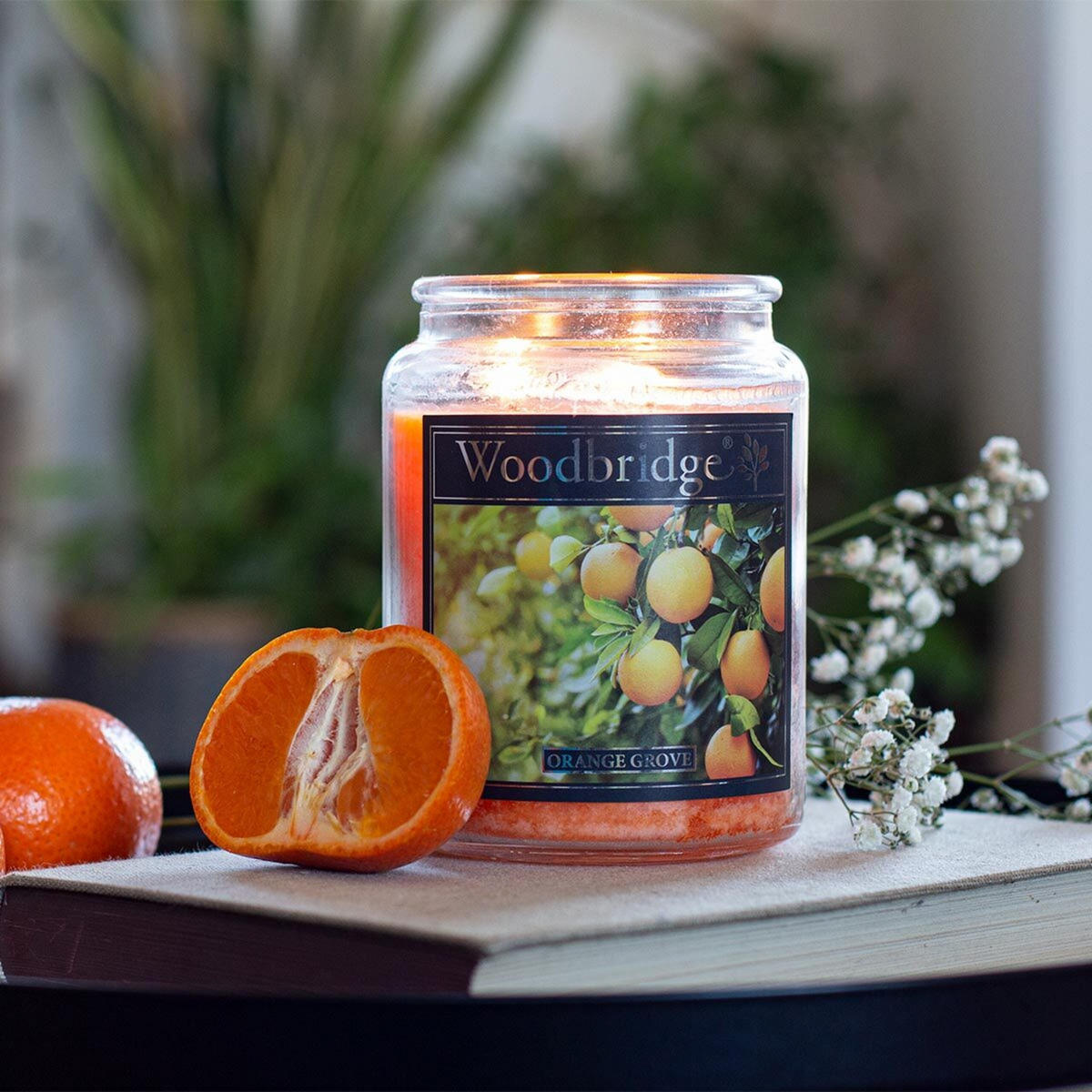 DUFTKERZE Woodbridge - Orange, Naturmaterialien/Glas (17cm)
