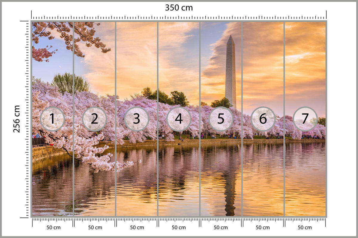 FOTOTAPETE Blühende Kirschbäume Fluss Natur Frühling Sonnenuntergang 350x256 - Blau/Gelb, Papier (350/256cm) - Muralo