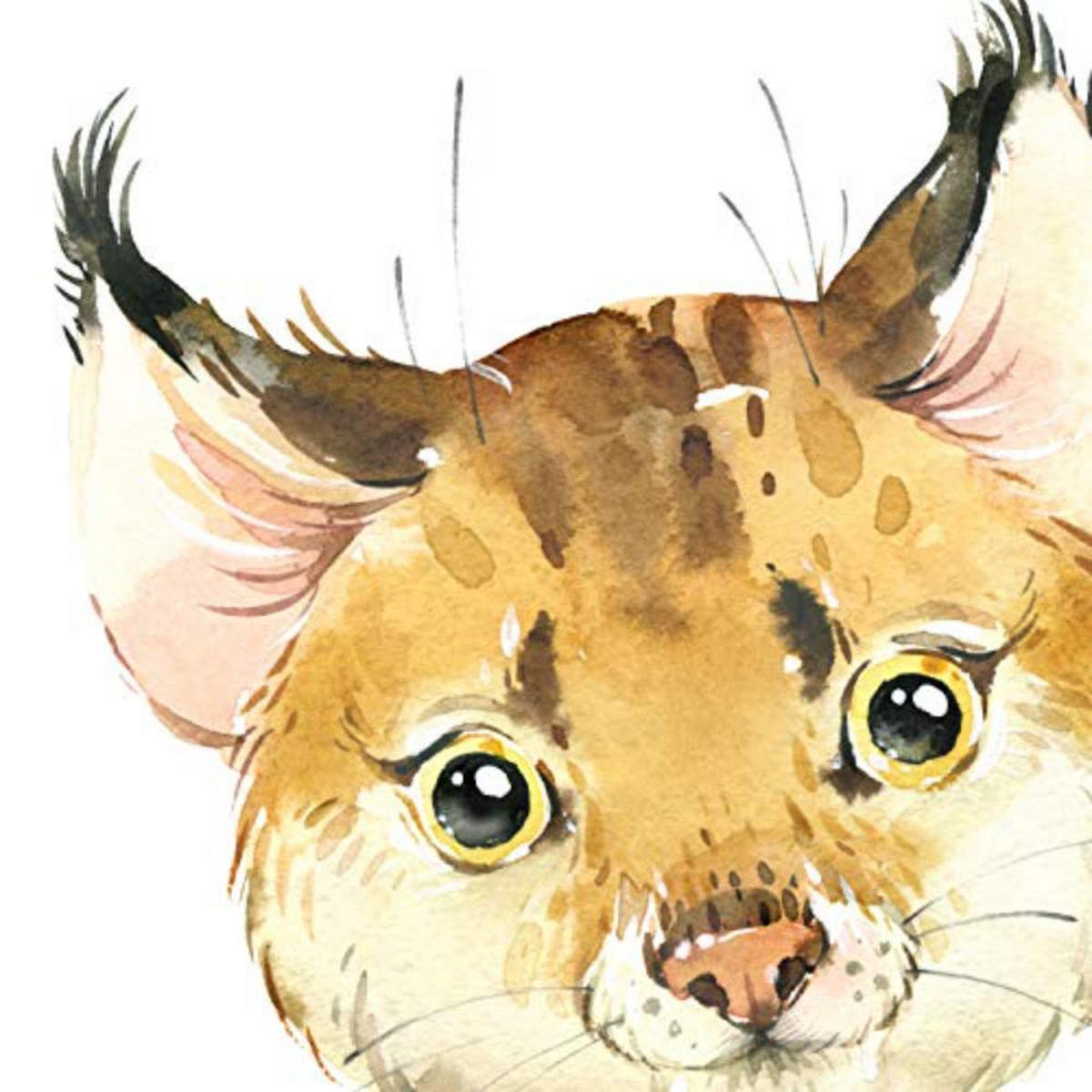 POSTER Set mit 4 Waschbär Fuchs Esel und Leopard A4 Rahmenlos - Klar, Papier (29.7/3cm) - Nacnic