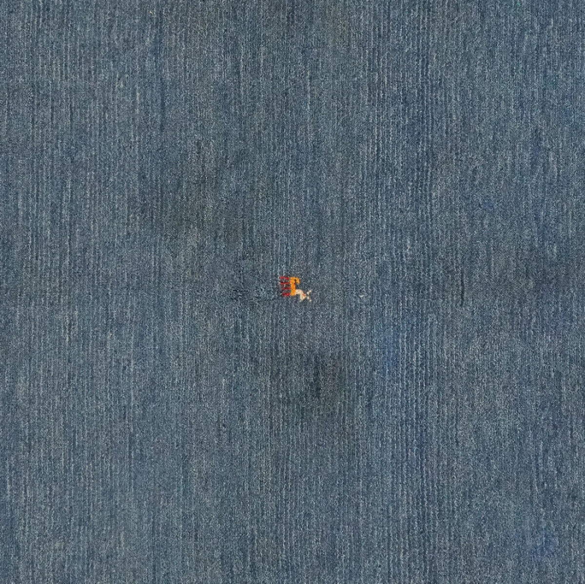 GABBEH-TEPPICH handgeknüpft Blau 208/153 cm Schurwolle - Blau, Textil (153/208cm) - Looma