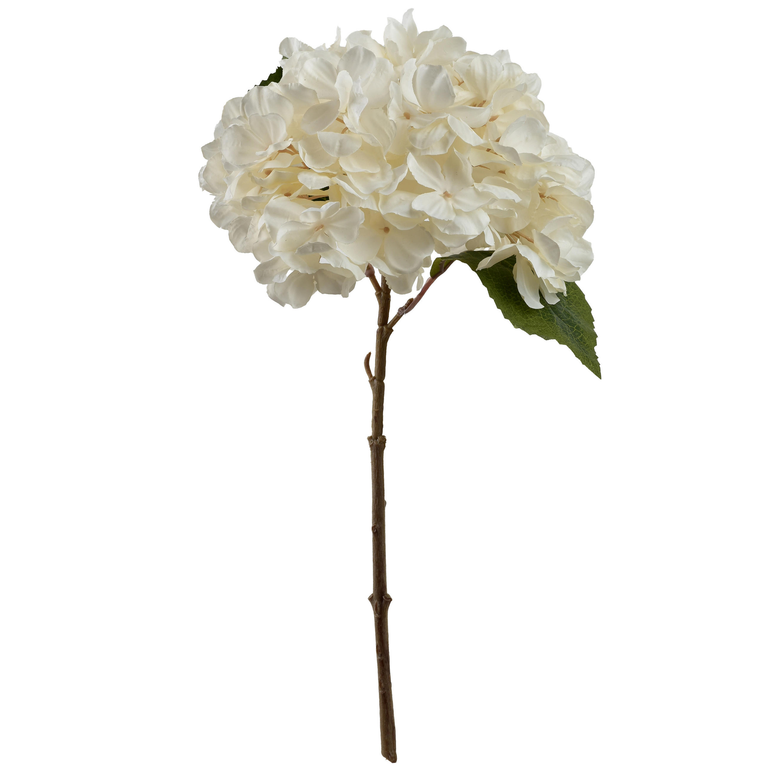 KUNSTBLUME Viridis - Grün, Kunststoff (35cm) - Mondex